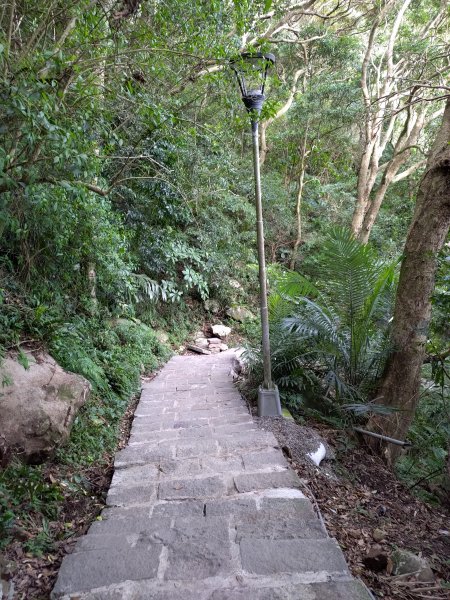 尖山步道-北橫古道-硬漢嶺步道794363