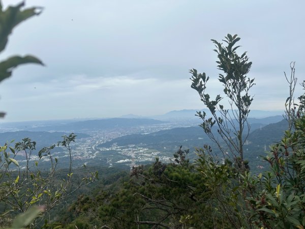 25/01/31三峽五寮尖2703470