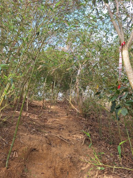 頭份鹿廚坑健行步道2734335