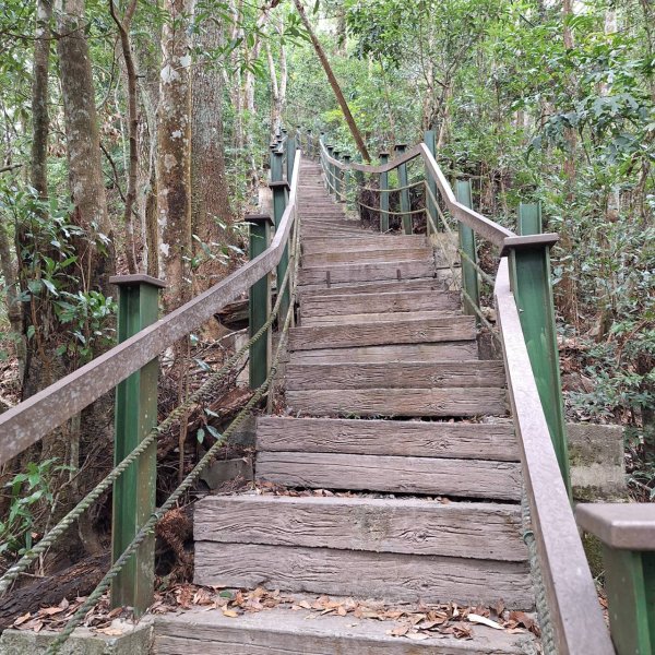 【小百岳52】後尖山完成!2705865