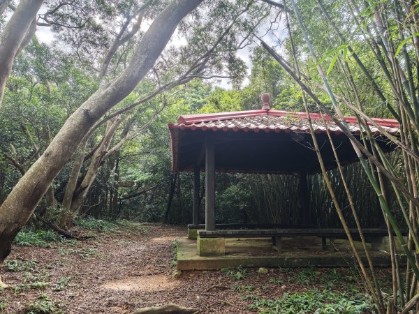 [皮皮獅動物派對-03/10] 2026_0822 石光古道(老虎山步道)3120805