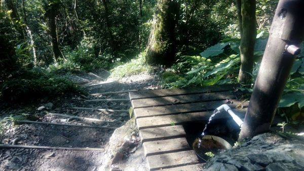 聖母登山步道O型走332323