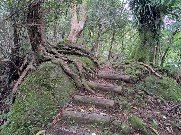 淡蘭中路第二段：十分老街至威惠廟3105545