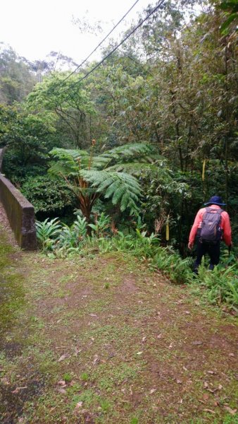 璀璨百年淡蘭古道～崩山坑古道、溪尾寮山、保城坑古道、虎豹潭步道O走1313451