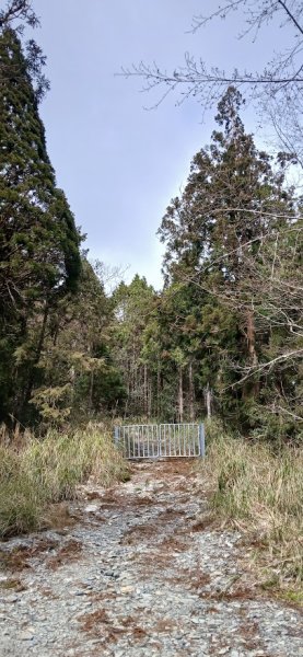 2025 3/1 三星山2723840