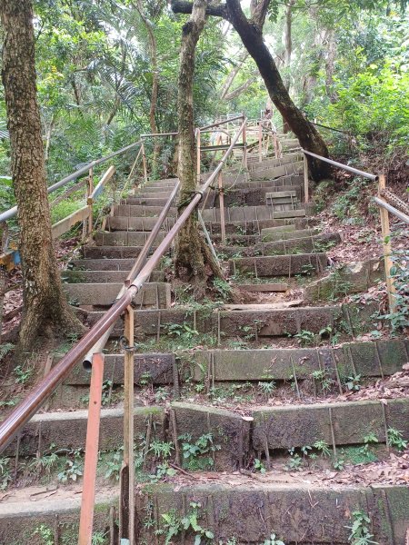 【台中北屯】南觀音山步道2933200