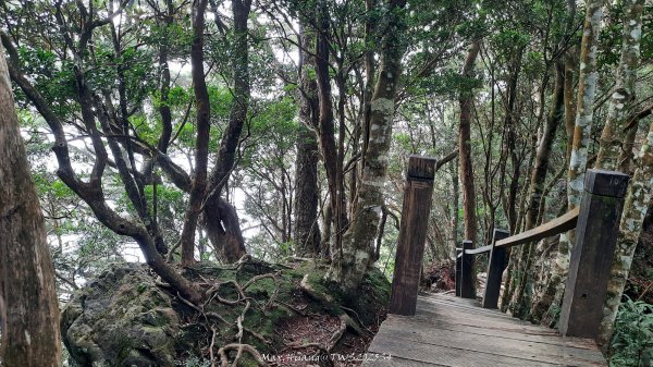 《新竹》斷崖神木｜北得拉曼步道小P繞202510172917582