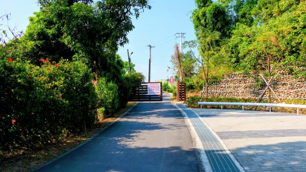 大社觀音山湖2954900