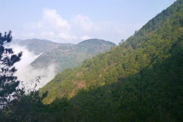 2019.4.2~3玉山主峰、西峰588520