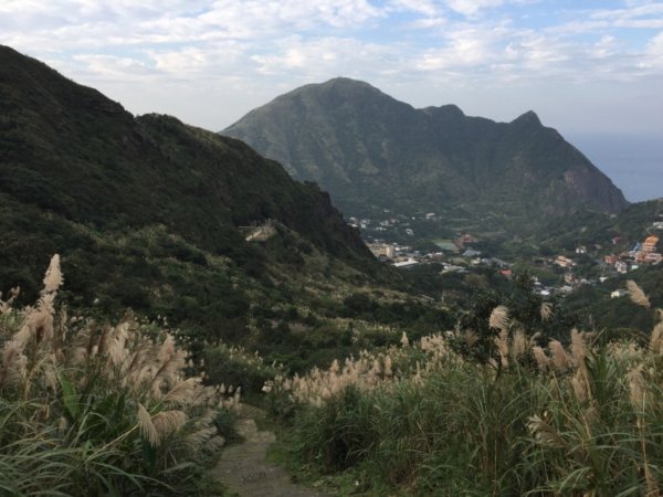 淡蘭古道-燦光寮古道沿著雙蕨葉指標而行485550