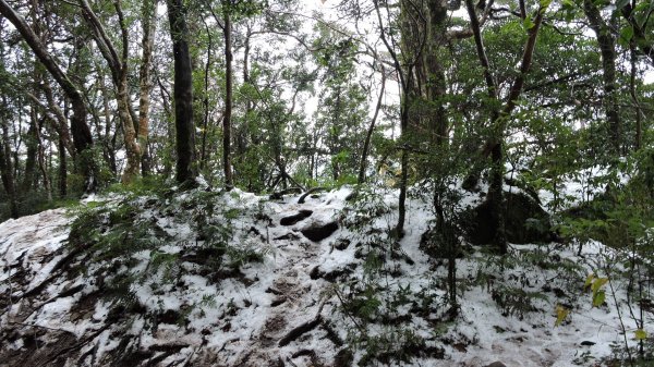 2021元旦瑞雪兆豐年內鳥嘴山追雪成功1222720