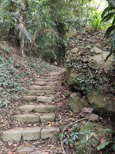 2023.12.23 崁頭山2833295