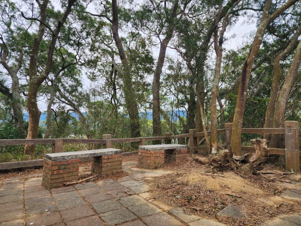 苗栗三灣｜龍峎頂步道2973704