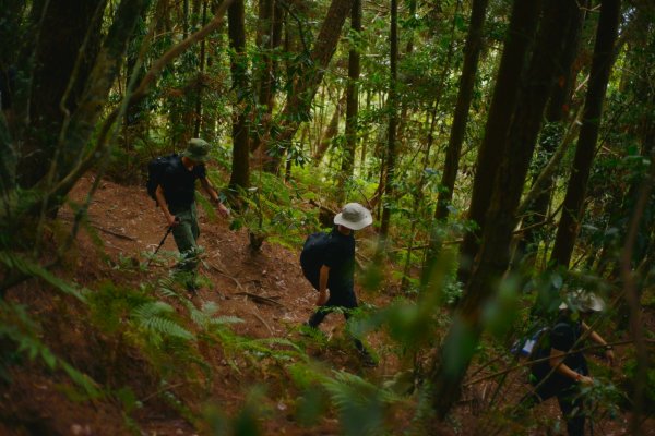 馬崙山步道2085810