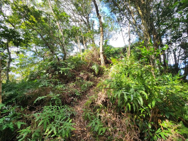 20251214石牛山柑坪山新柑坪山牛背岩2972757