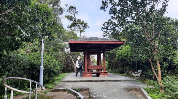 《新竹》城市微旅｜十八尖山+香山濕地賞蟹步道202511012928401