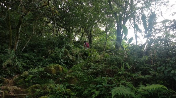 2020 7/11 石門山1029645