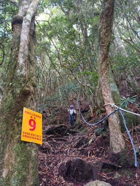 哈加縱走（哈堪尼山、加里山）1051374