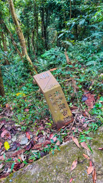 水沙漣古道｜二坪山2979994