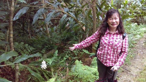 【臺北大縱走7】飛龍步道、樟山寺、銀河洞878167