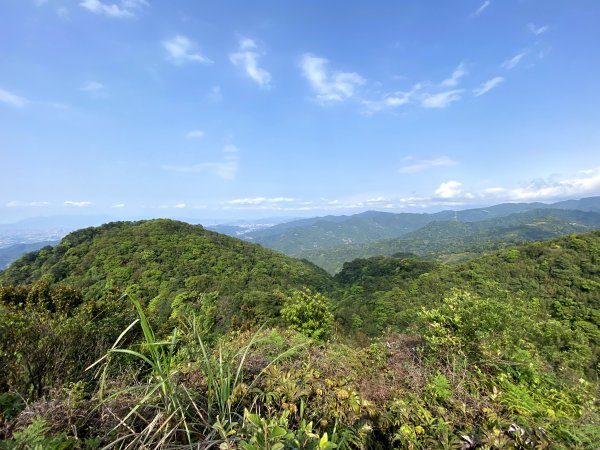 白雞山-雞罩山前鋒-雞罩山916280