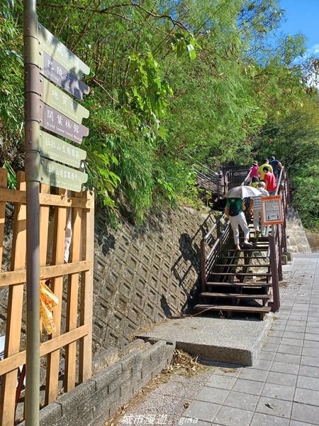 【桃園。復興】有氧森呼吸。 山迢路遠超美的拉拉山神木群步道1501118