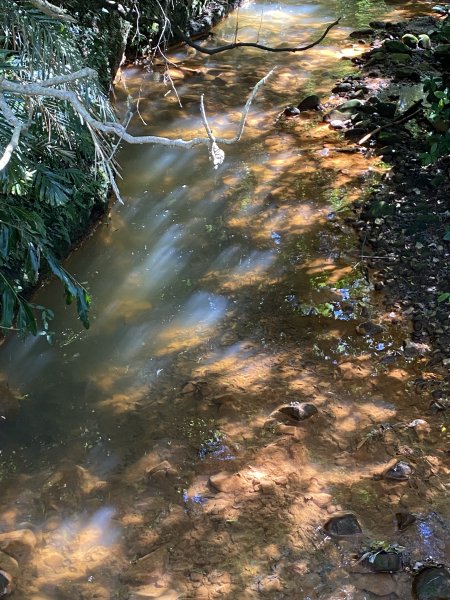 2024/09/16 天母古道（水管路） 紗帽山2884403