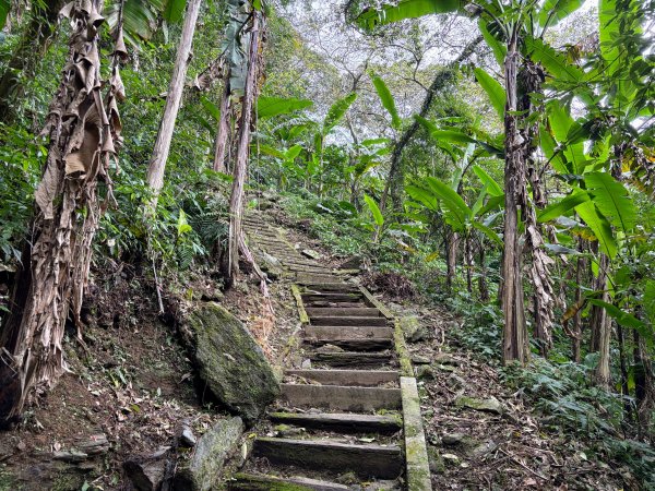鯉魚山步道群2728334