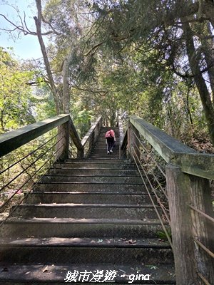 【南投鹿谷】溪頭天文台登山步道3037365