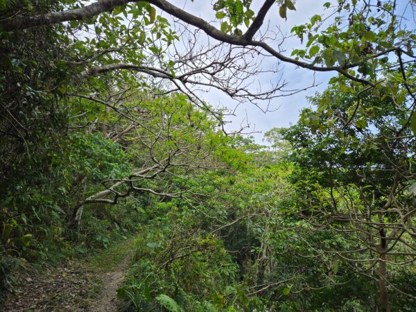 女仍山（小百岳）2752497