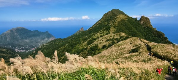 #半屏山 #芒花 11/262946035