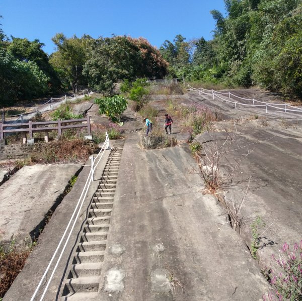 【雲林草嶺線】免交通費的草嶺經典一日遊