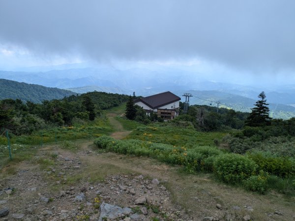 20260703 秋田森吉山3081931