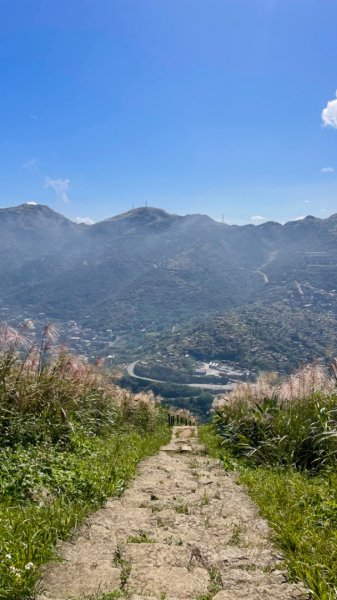 基隆山賞芒趣-山尖步道-百年三層橋-摸乳巷2335470