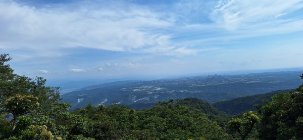 【2024觀音觀鷹尋寶任務】一日走完七條步道完成!2508433