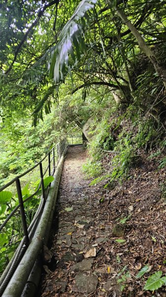 20250804溪山百年古圳-鵝尾山水田路-平菁步道O型2854789