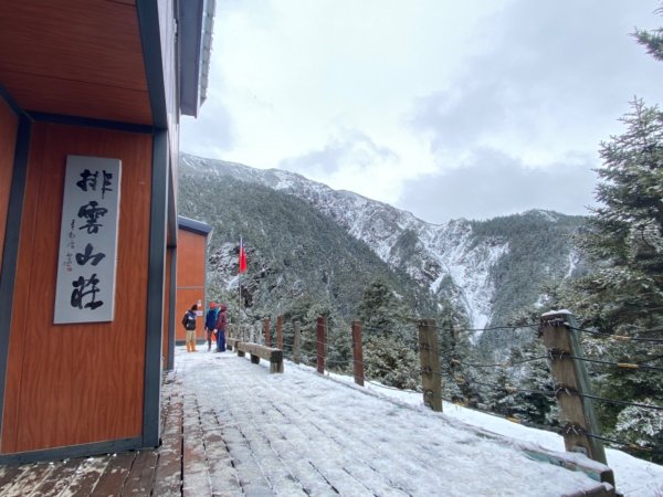 塔塔加-排雲山莊。驚喜滿分的糖霜雪景1565847