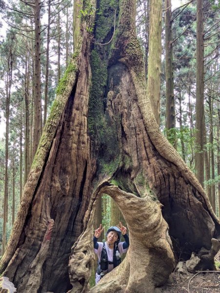 加里山（大坪登山口-杜鵑嶺-避難小屋）2767755