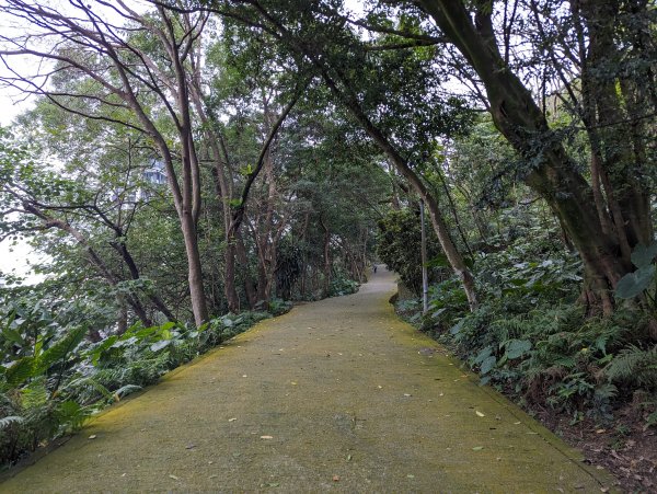 2024-01-28 福州山公園2793303