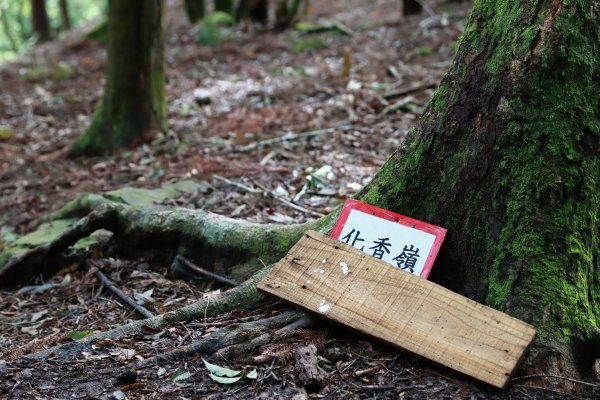 時光膠囊白雪村。水山奧地博博猶溪2311194