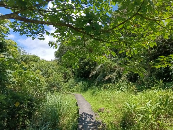貢寮區文秀坑古道+觀日嶺步道O型2809174