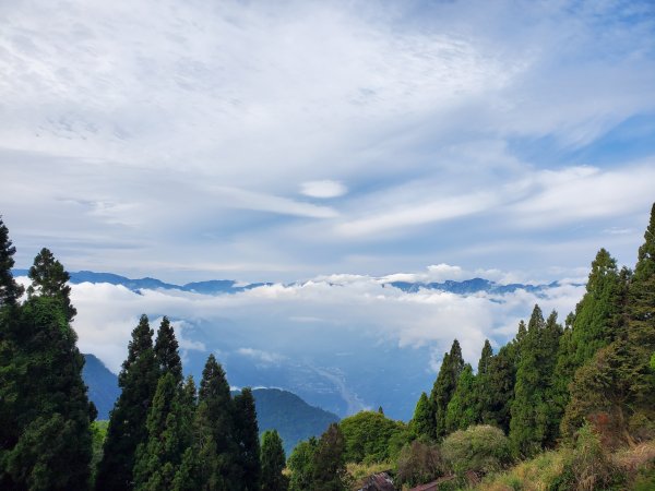 郡大碰碰車952490