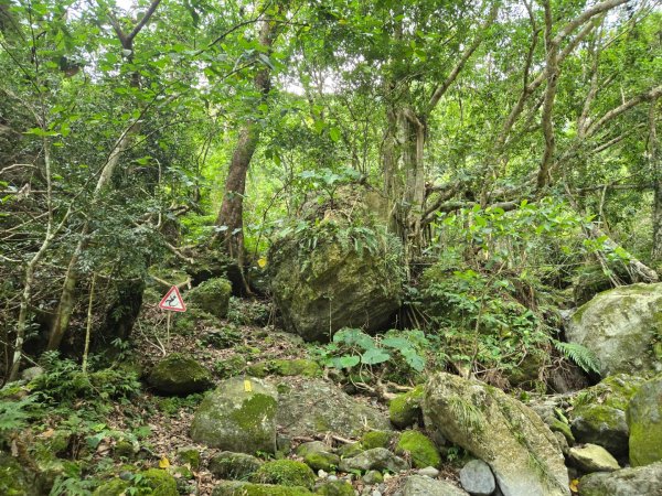 麻荖漏步道、彩虹瀑布2697939
