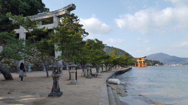 【日本】宮島一日遊。嚴島神社。彌山登山步道1437341