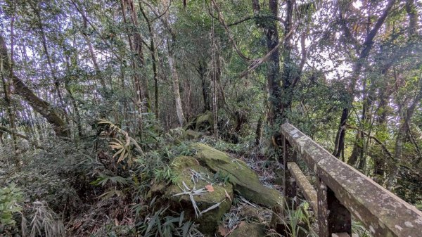 九份二山步道2861232