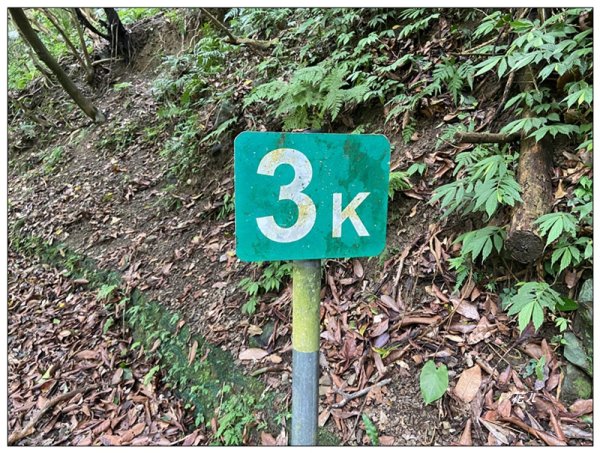 聖母峰、三角崙山 (抹茶山) 連走2802188