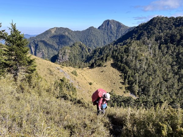 大眾運輸登 雪山西稜 (中雪山未竟) 2025/12/3~92970038