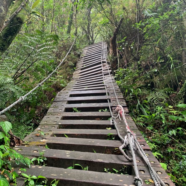 20260419獅仔頭山3045639