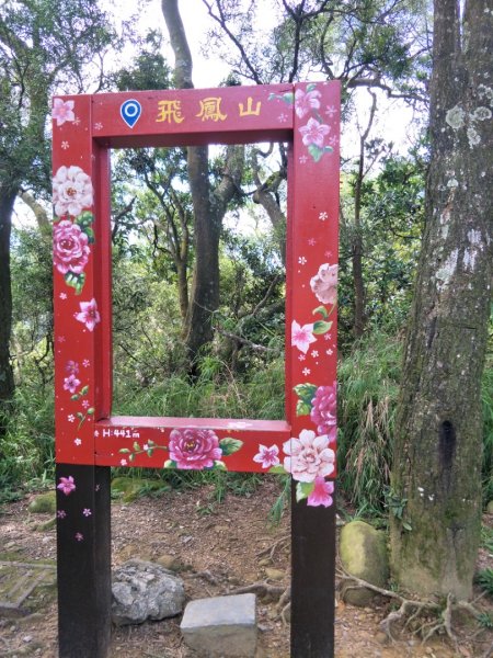 小百岳:飛鳳山&中坑山1436184