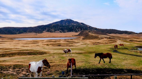 熊本阿蘇火山,草千里,砂千里3027767